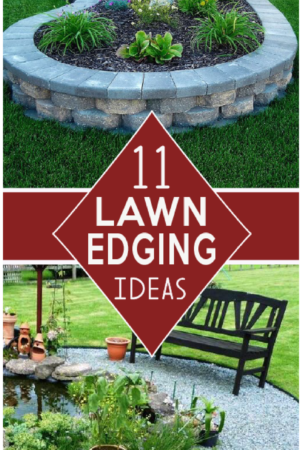 Check out these Beautiful deging ideas for flower beds, pathways and yard edges! gardenlovin.com