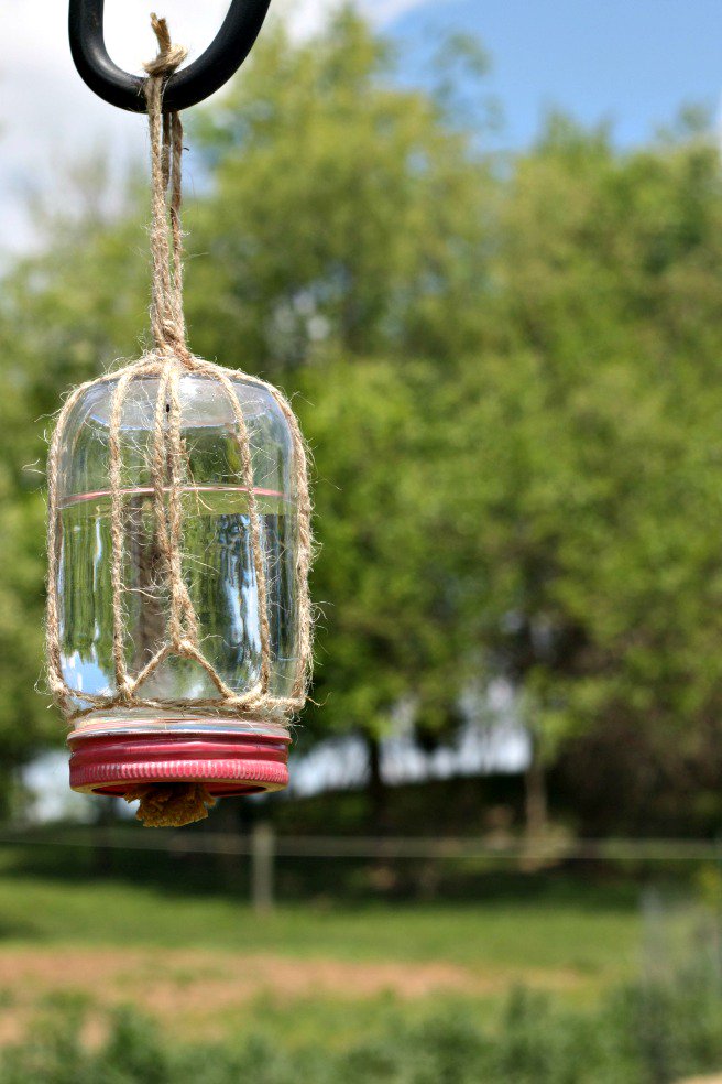 How to Make A DIY Butterfly Feeder | Here's how to make a DIY butterfly feeder that makes a wonderful addition to any garden or flower bed. This simple feeder, made from a mason jar, some twine, and a piece of sponge, will help attract these friendly insects to your garden and give them a place to refuel. | TraditionalCookingSchool.com