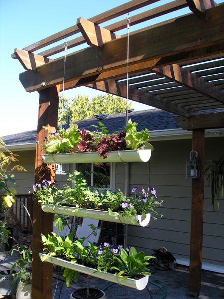 gutter garden