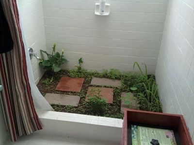 indoor garden in a shower