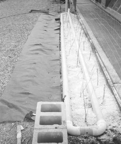 Here's a shot of the planterbed with graywater pipes as they are being installed in an exterior leach field