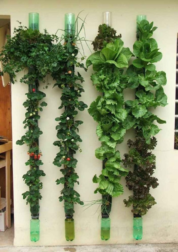 vertical veggie garden