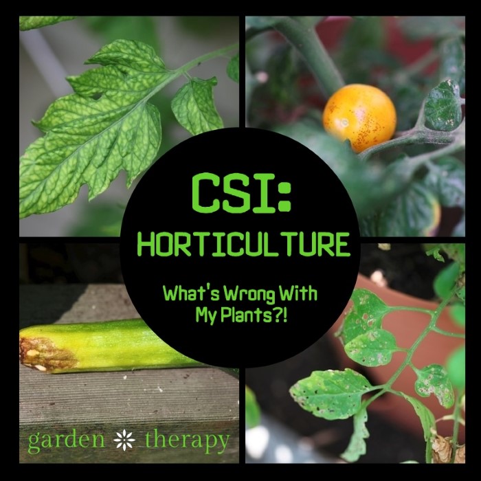 CSI Horticulture: Organic Control of Plant Disease