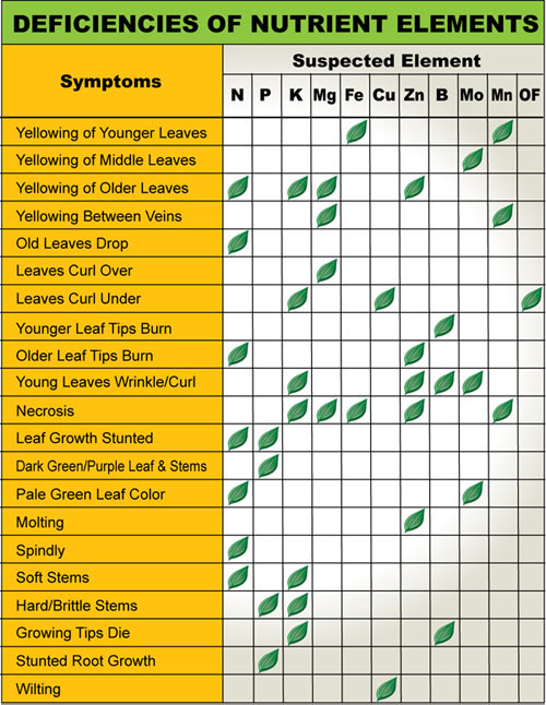 Plant Nutrient Deficiencies Chart