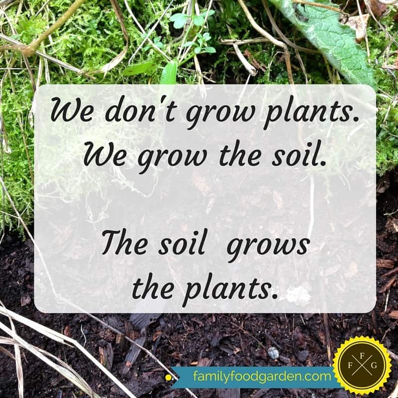 The importance of great soil and microorganisms in your garden