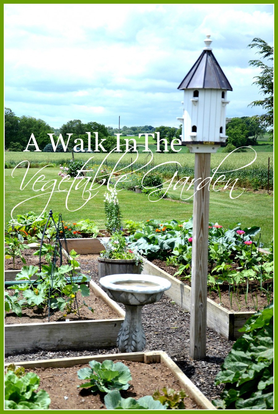 VEGETABLE GARDEN- A walk in the vegetable garden-stonegableblog.com