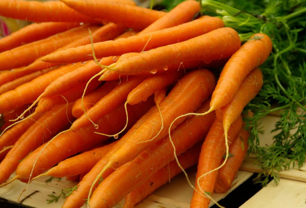 grow your own carrots and store them in your cold room #carrots #garden #preserving