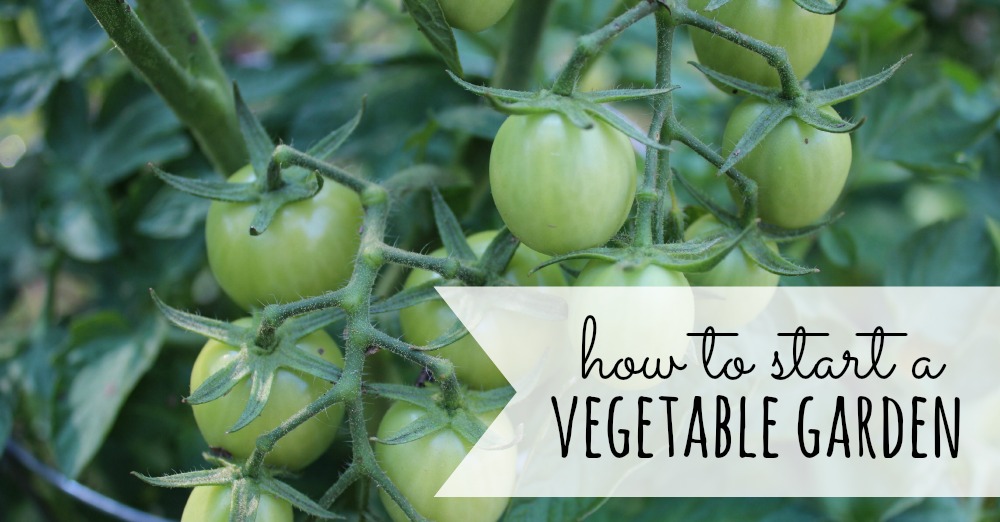 how ot start a vegetable garden