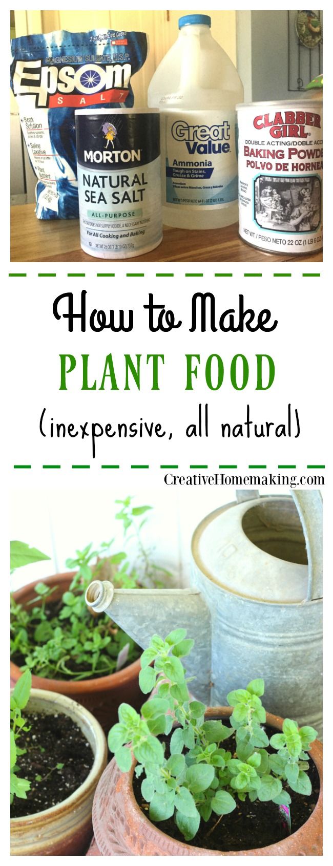 How To Make Homemade Plant Food Big Gardening