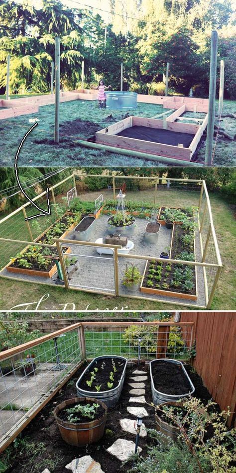 The Tricks to Growing a Vegetable Garden in Little Space – Big Gardening