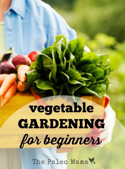 Vegetable Gardening for Beginners