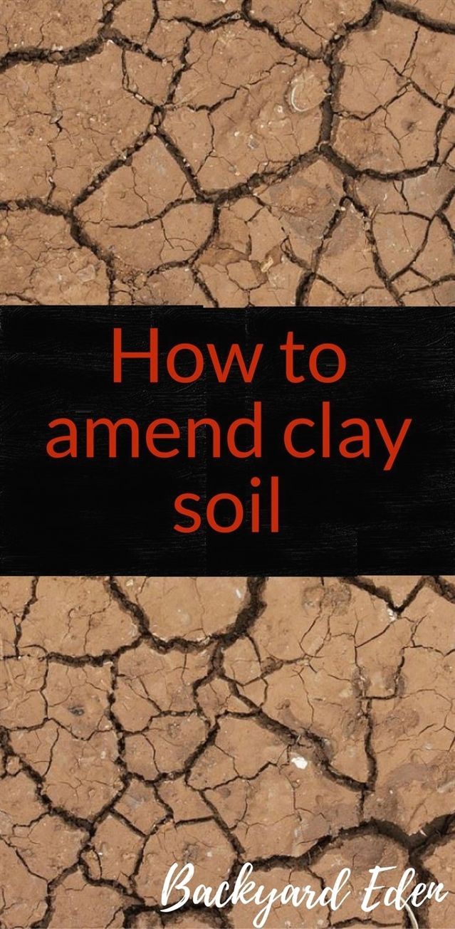 How to Clean Clay Soil – Big Gardening