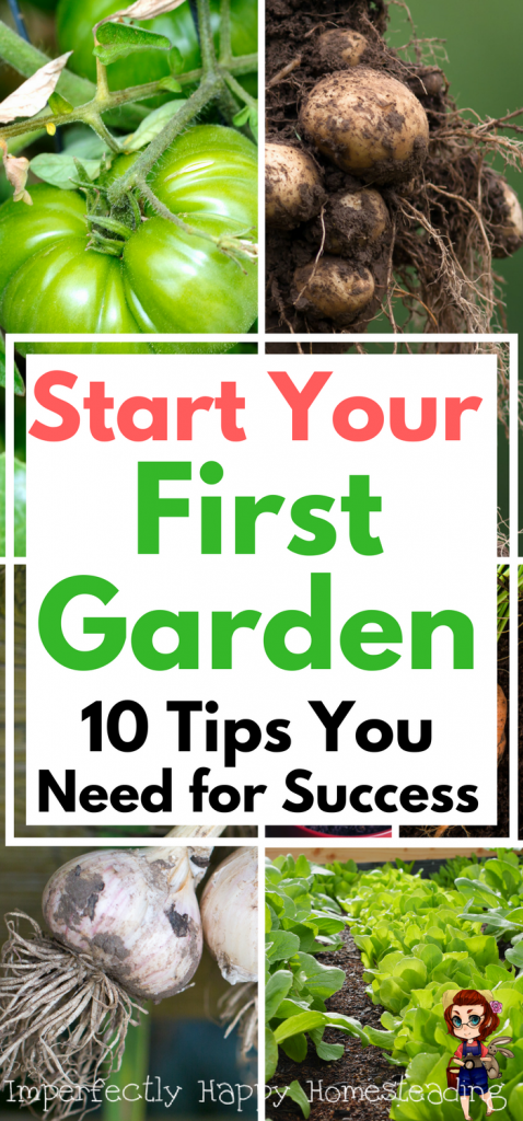 Tips For New Garden Enthusiast Success – Big Gardening