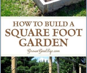 How to Make a Square Foot Garden