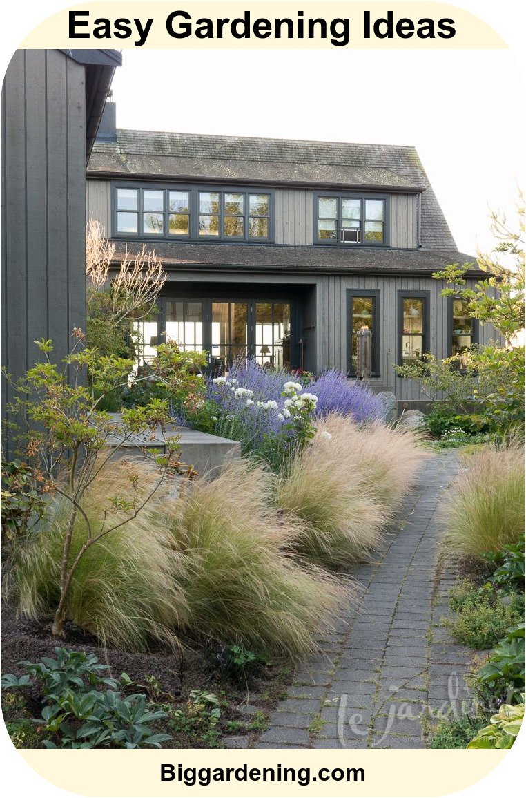 Landscaping with Ornamental Grasses – Big Gardening