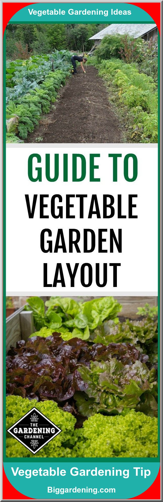 Vegetable Garden Design – Big Gardening