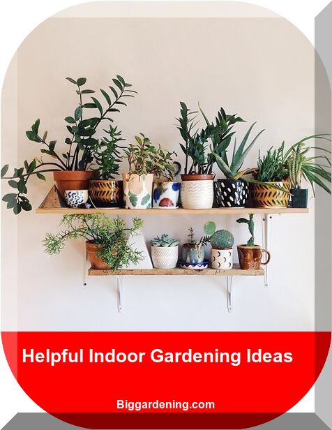 Perfect House Plants For Your Tiny Home – Big Gardening