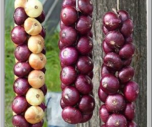 How To Braid Onions For Long Term Storage