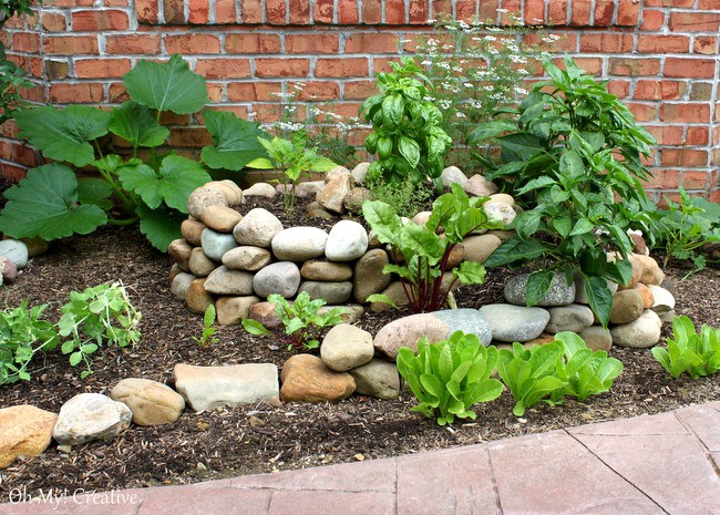 How to create a small vegetable garden using a garden spiral - OhMy-Creative.com