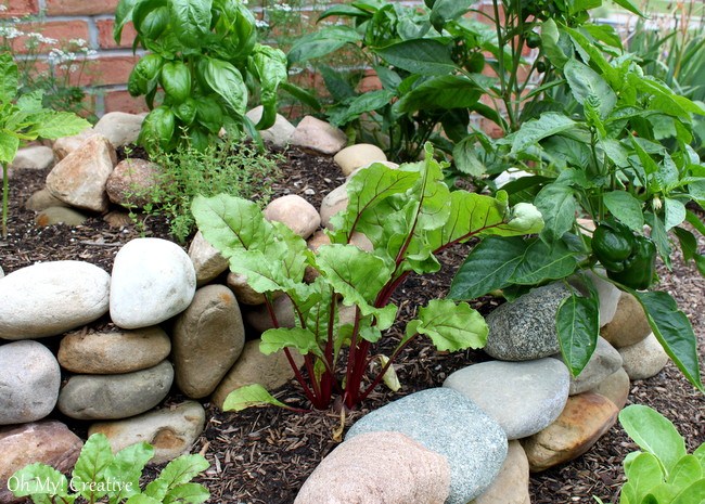 How to create a small vegetable garden using a garden spiral - OhMy-Creative.com