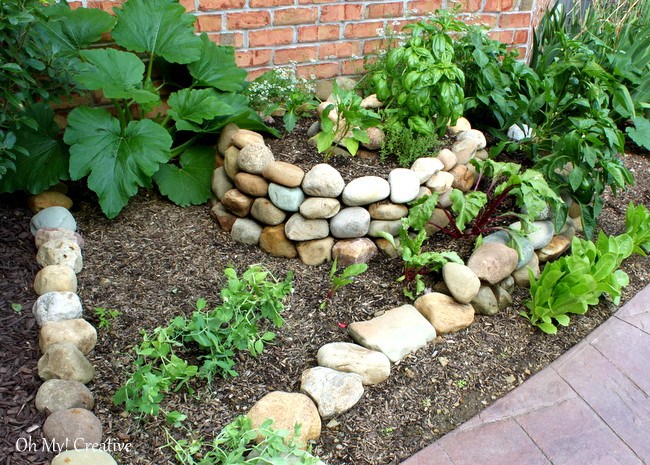 How to create a small vegetable garden using a garden spiral - OhMy-Creative.com