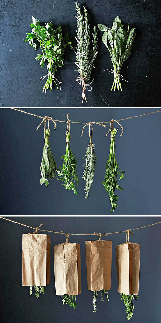 drying-herbs-56