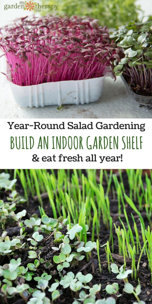 How to Build an Indoor Garden Shelf and grow fresh food indoors all year
