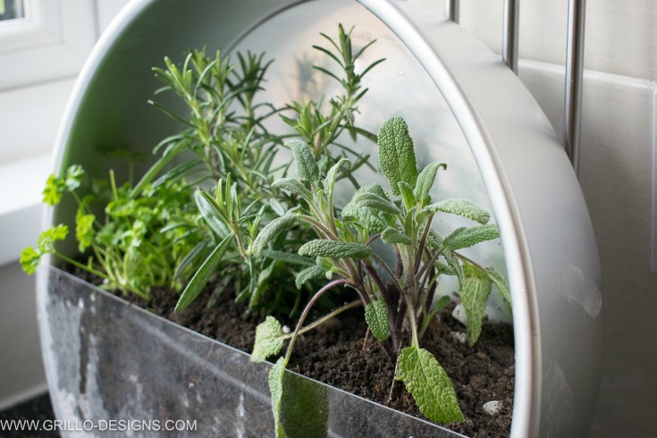 easy tutorial on how to make a herb planter / grillo designs www.grillo-designs.com