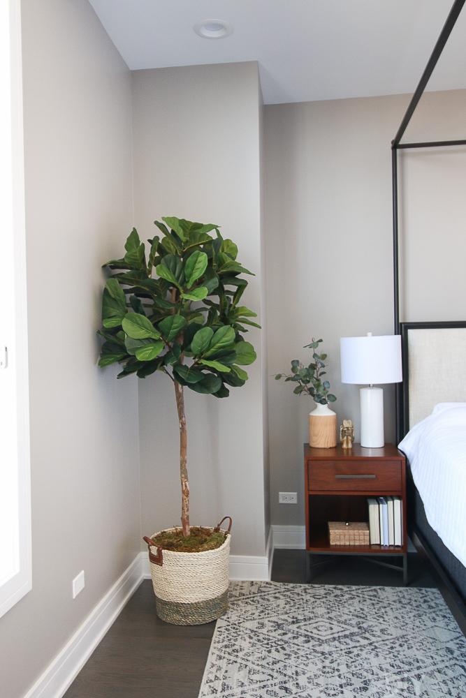 Our favorite indoor plants for your home