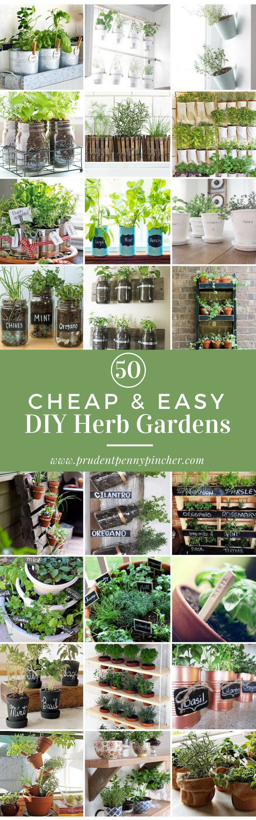 diy herb garden