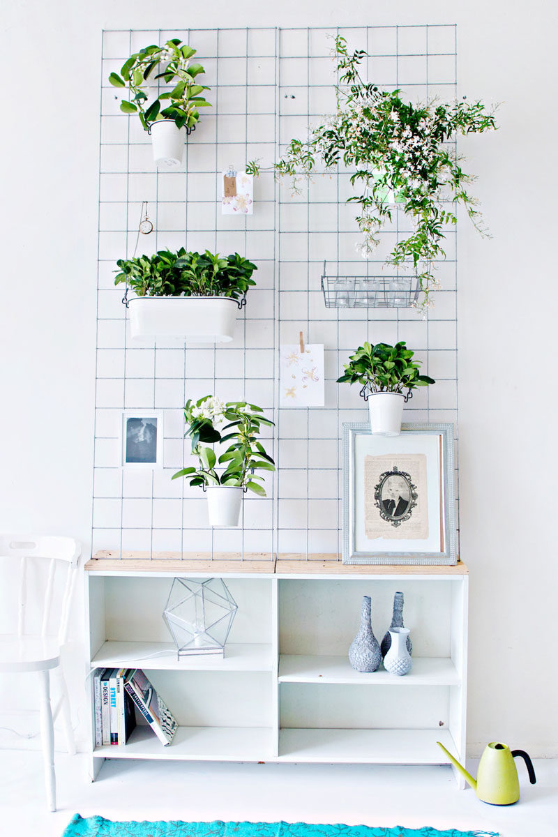 Indoor Garden Ideas - Hang Your Plants From The Ceiling & Walls // This wall planter gives you a place to store your plants as well as other hanging objects, freeing up your floor for more important things, like chairs and tables.
