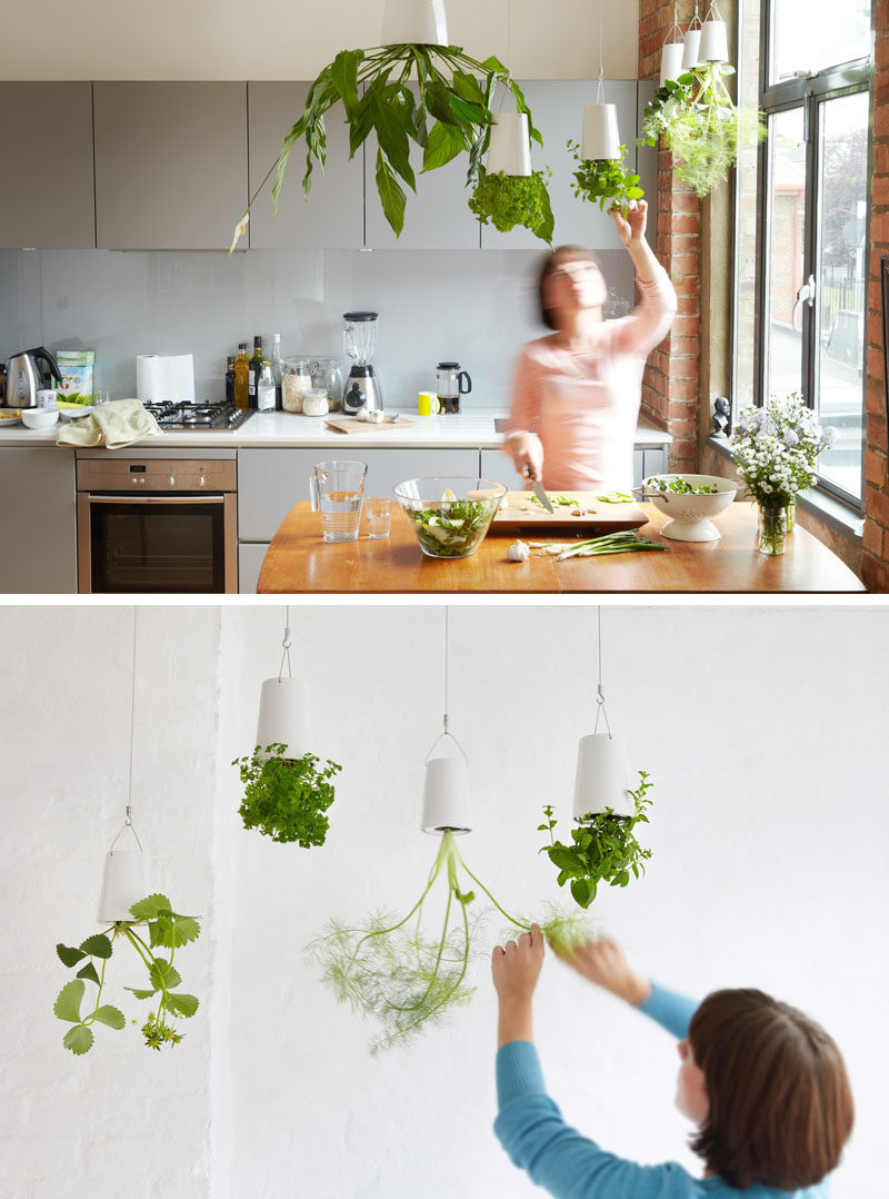 Indoor Garden Ideas - Hang Your Plants From The Ceiling & Walls // Make a statement and shock your guests with upside down hanging planters. Technology keeps the soil and water in while allowing your plants to thrive.