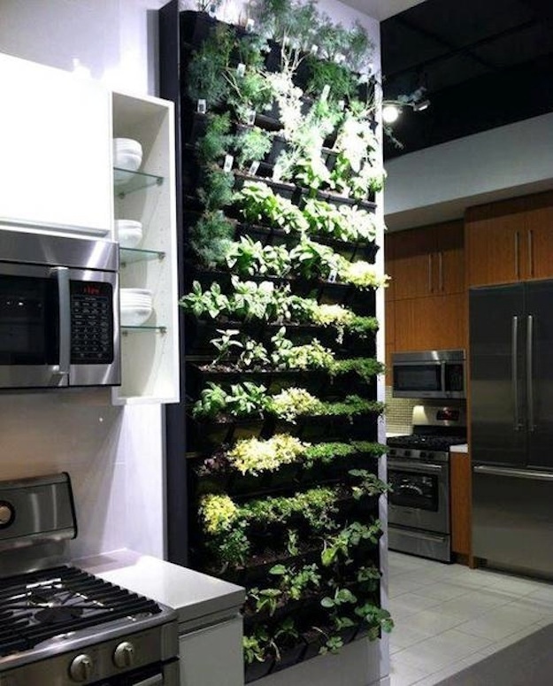 vertical garden in kitchen