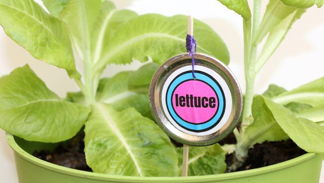 A garden marker made using Mason jar lids