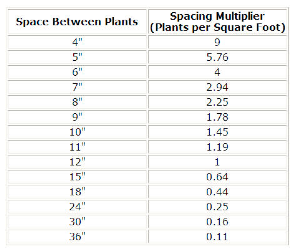 plantspace