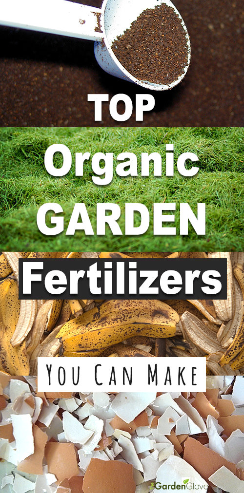 Top Organic Fertilizers You Can Make 2-1