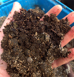 Awesome Soil Amendments for Your Organic Vegetable Garden - what to add to your soil for a healthier garden and you!