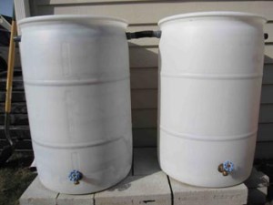 rain barrels