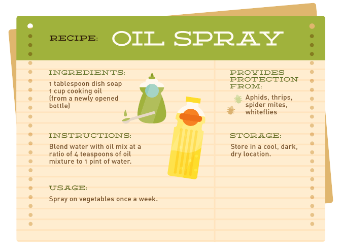 How to Make Oil Spray