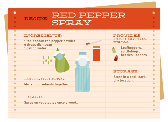 How to Make Red Pepper Spray