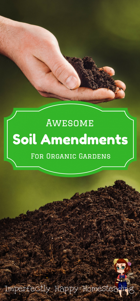 Awesome Soil Amendments for Your Organic Vegetable Garden - what to add to your soil for a healthier garden and you!