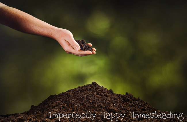 Awesome Soil Amendments for Your Organic Vegetable Garden - what to add to your soil for a healthier garden and you!