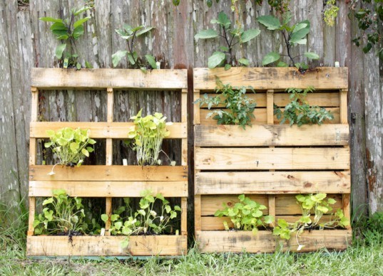 Vertical garden, urban gardening, vertical gardening, pallet, pallet garden, pallet gardening