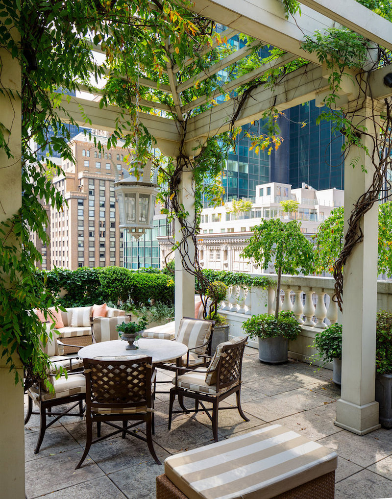 ny times rooftop garden and pergola 20130905-BUATTA-slide-J32W-jumbo