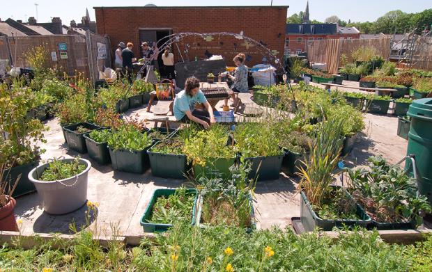 Urban Gardening - Gemeinschaftsgärten in der Stadt