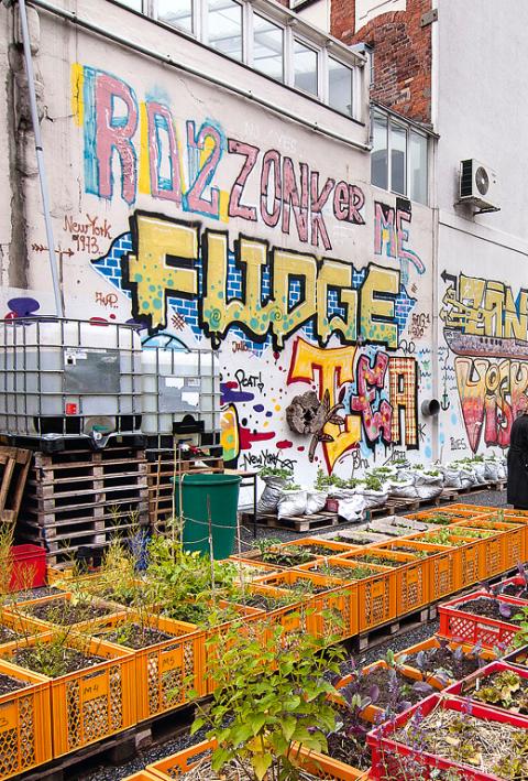 Urban Gardening - Gemeinschaftsgärten in der Stadt
