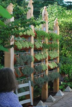 Whether you live in the tiniest studio apartment or the largest homestead or somewhere in between, going vertical with your gardening can help you make the most of the space that you have! // Mom with a PREP