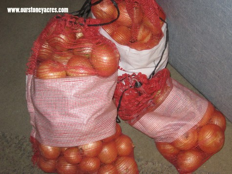 Growing Onions Storage
