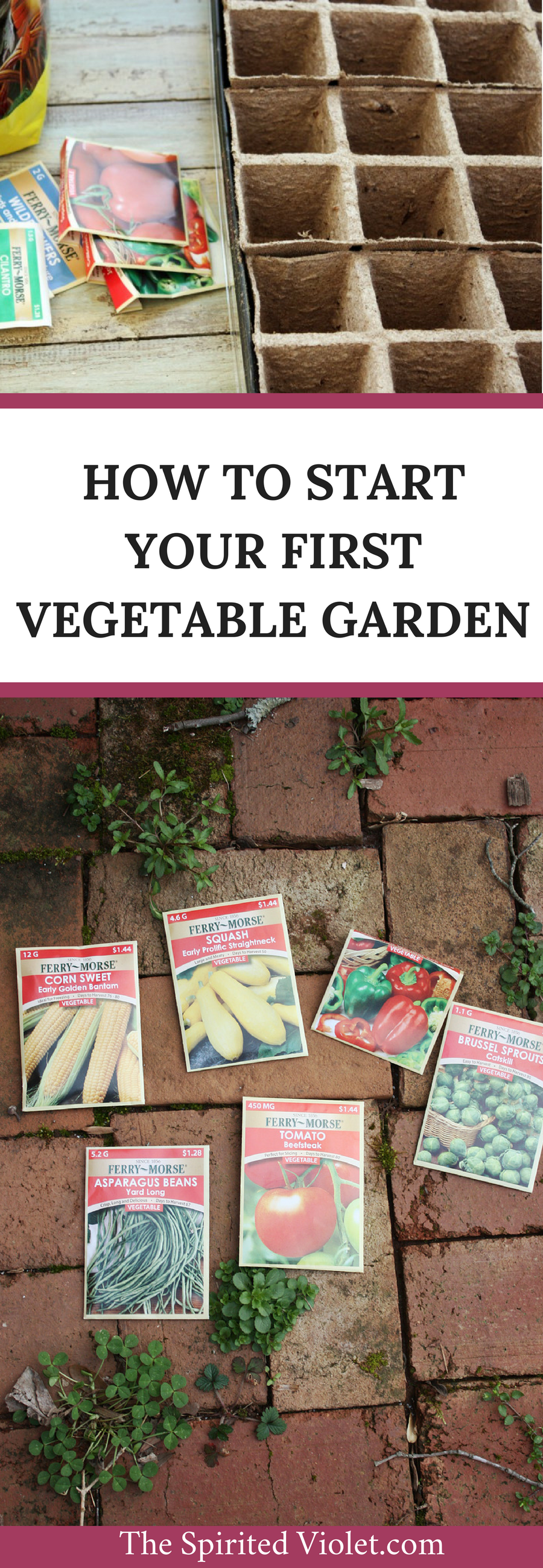 How to start your first vegetable garden: easy step by step instructions with pictures to help you begin eating your very own home grown vegetables! | via The Spirited Violet