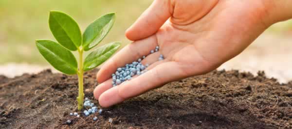 How to prepare soil for planting - fertilizer